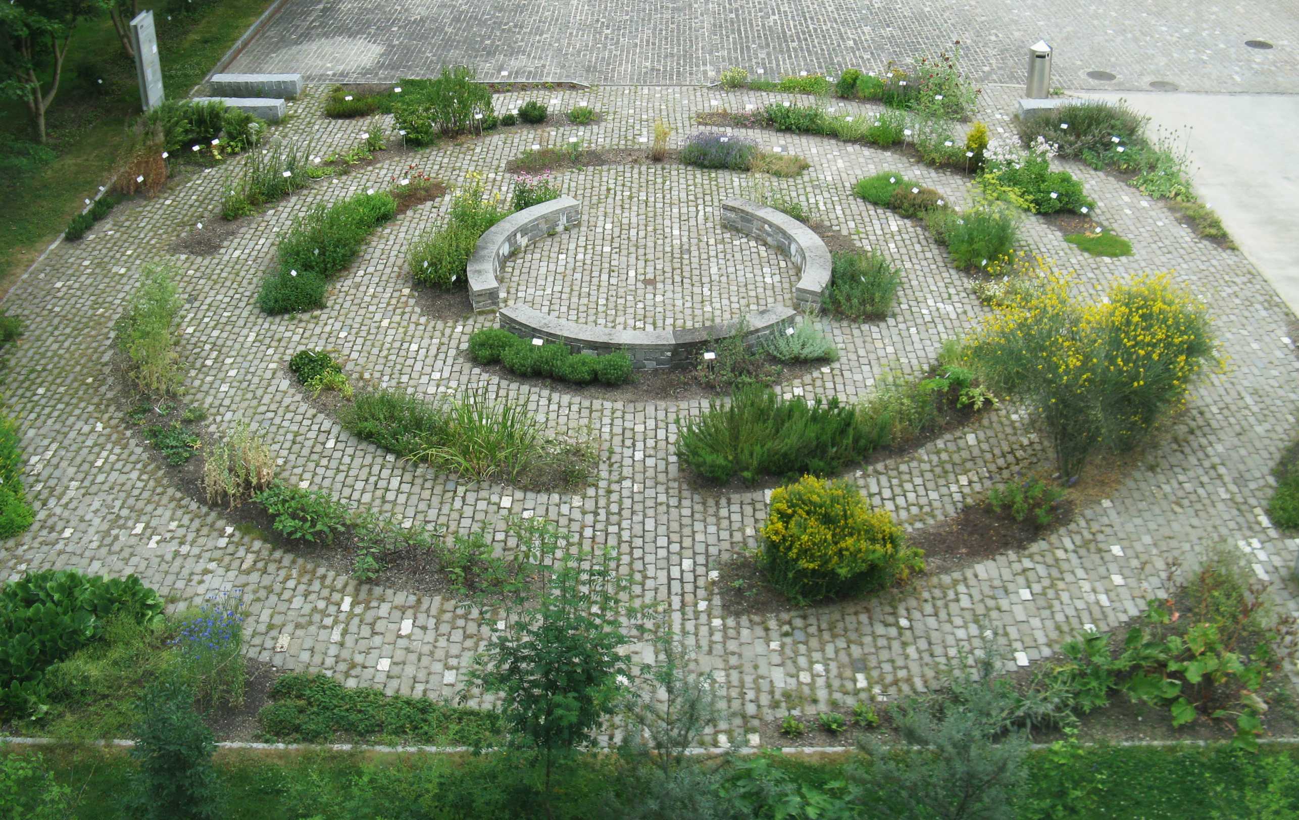 2005 wurden am Hönggerberg rund 170 Arzneipflanzen und 30 Gehölze zu einem speziellen Garten zusammengefasst (Foto: Barbara Brauckmann, Julia Ecker).