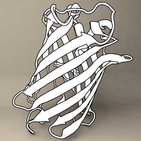 gfp white
