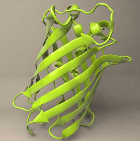 gfp green