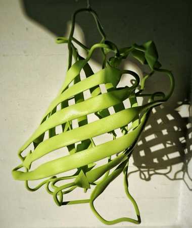 drying
