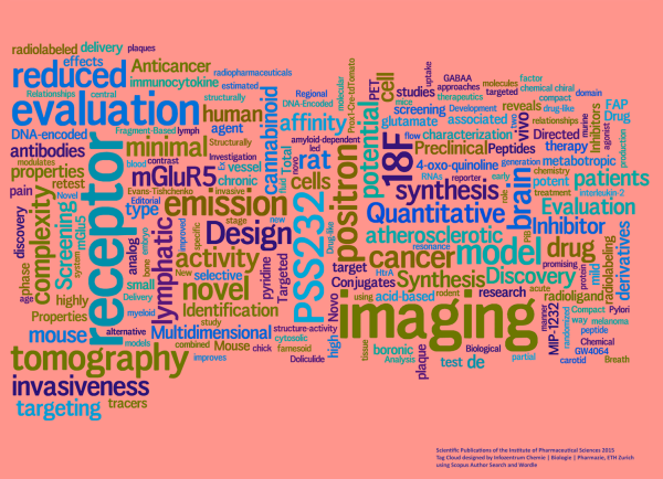 Enlarged view: Wordle Research Output IPW