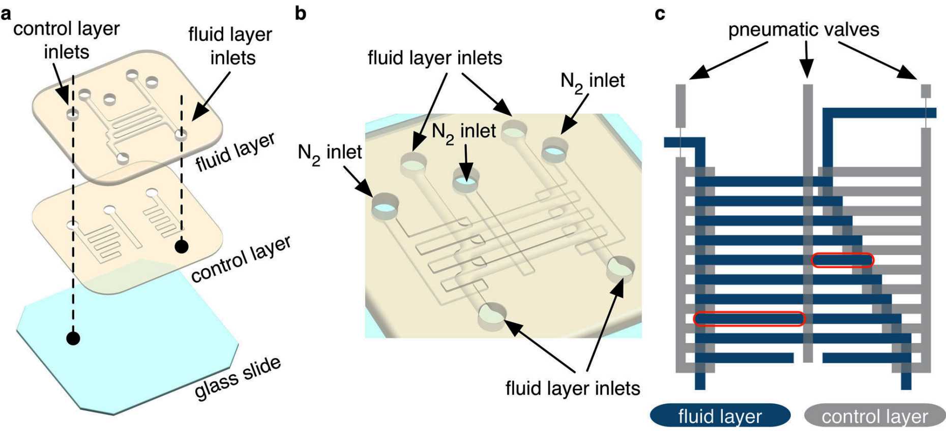 Type I microfluidic device