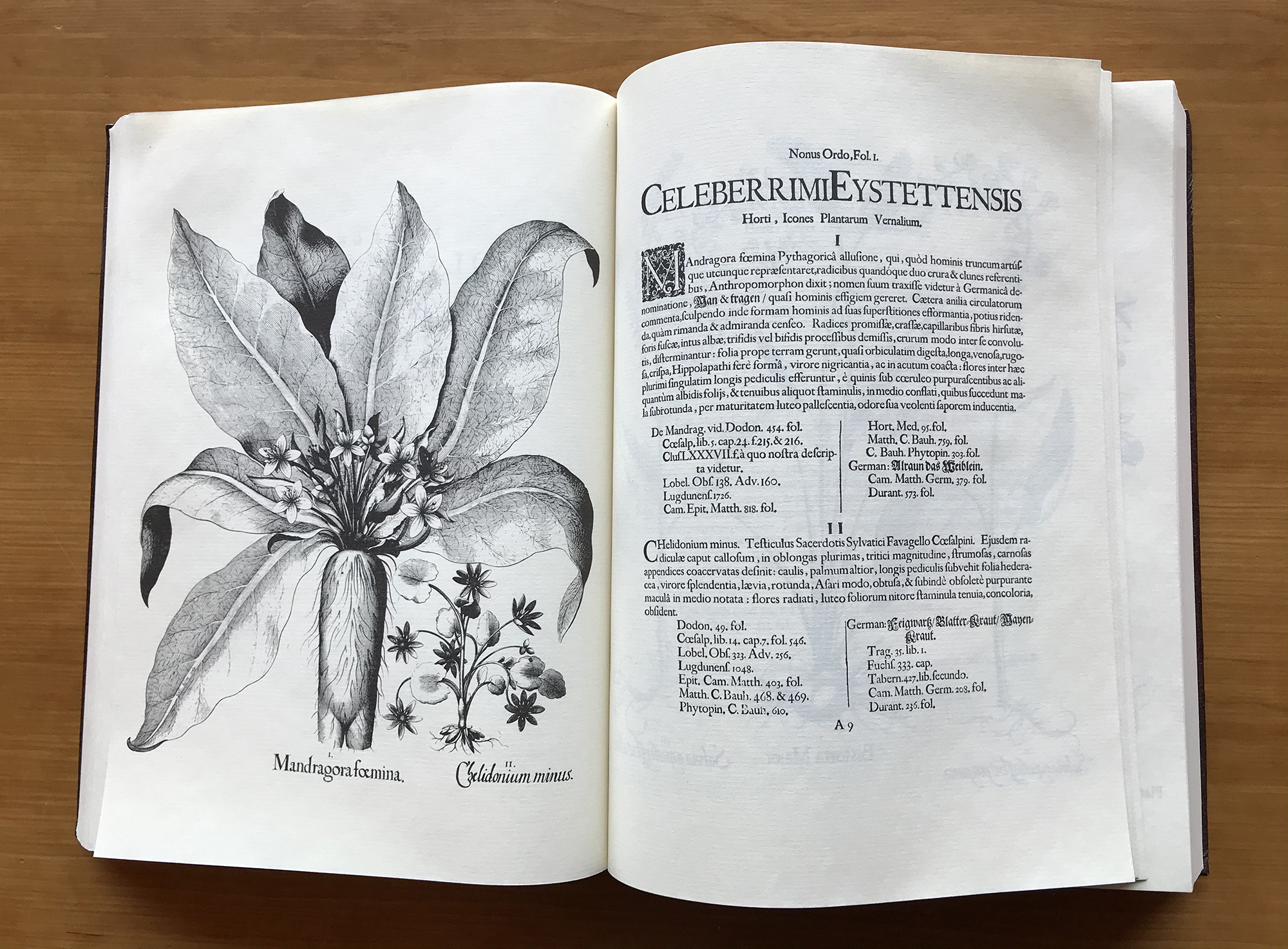 Example of a herbal book