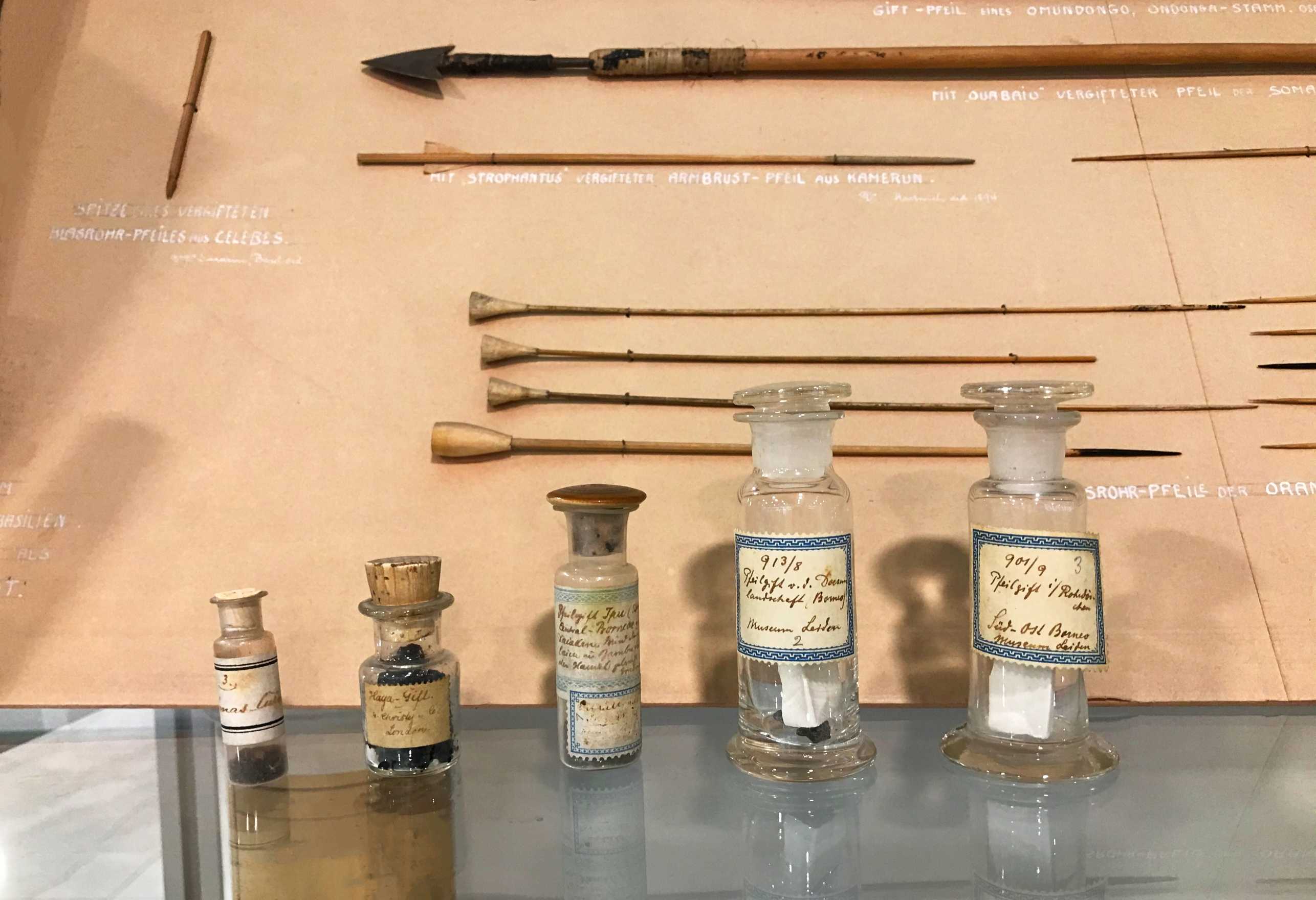 Original arrow poisons and blowpipes with associated tinctures.