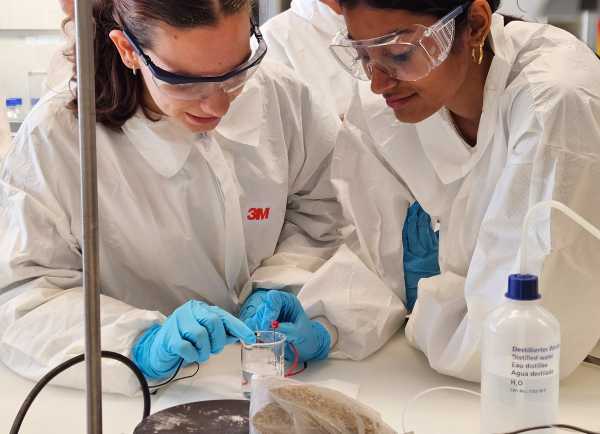 students carrying out experiments in the lab