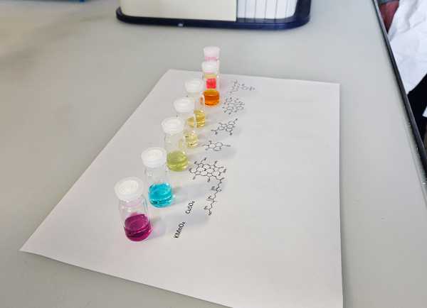 color samples in the lab