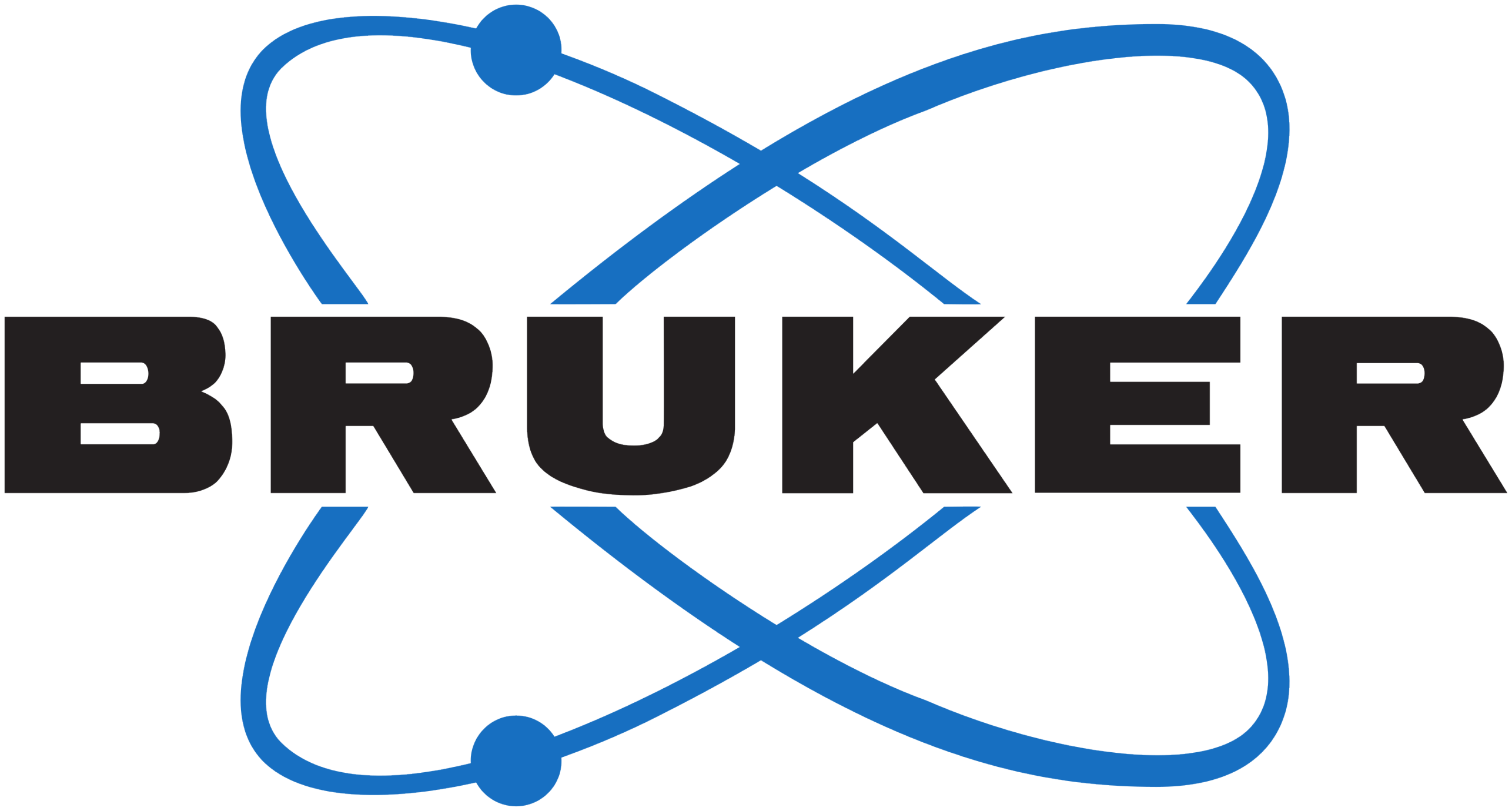 Bruker Logo