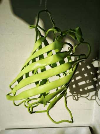 drying
