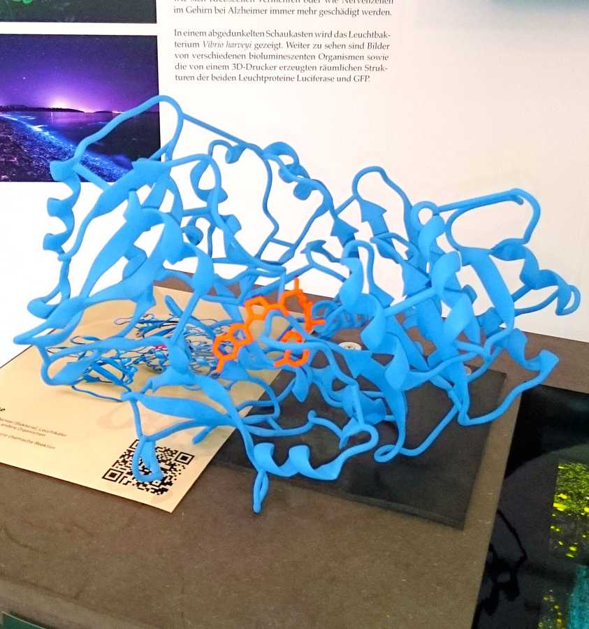 Vergrösserte Ansicht: 3D-Druck des Molekülmodells von Luciferase
