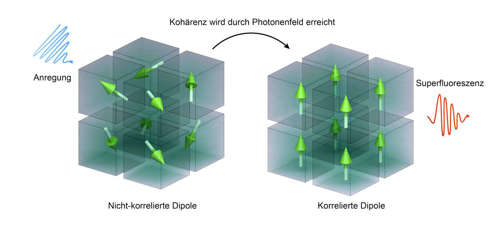 Superfluoreszenz: Angeregte Dipole