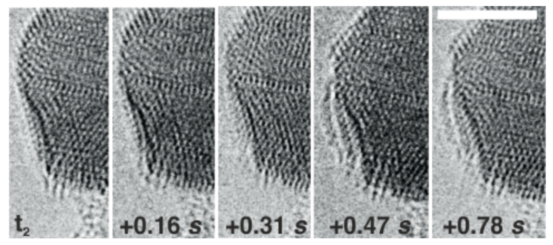 Encapsulation of the platinum particle by titanium oxide