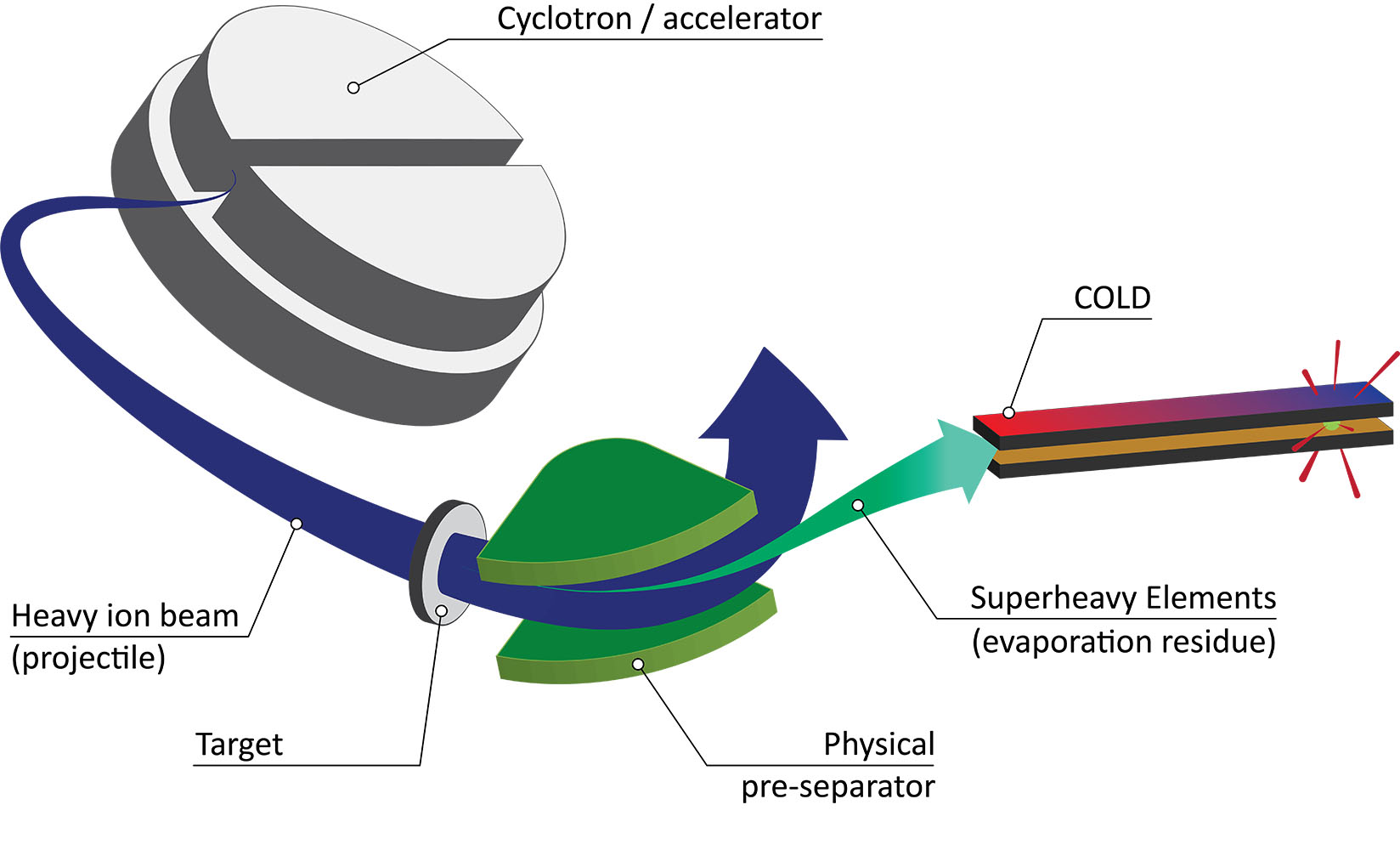 Creating and characterizing superheavy elements