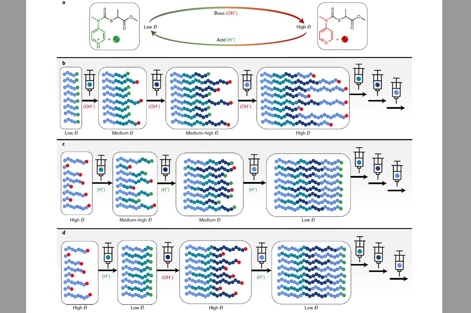 Vergrösserte Ansicht: Paper about polymer synthesis with RAFT agent