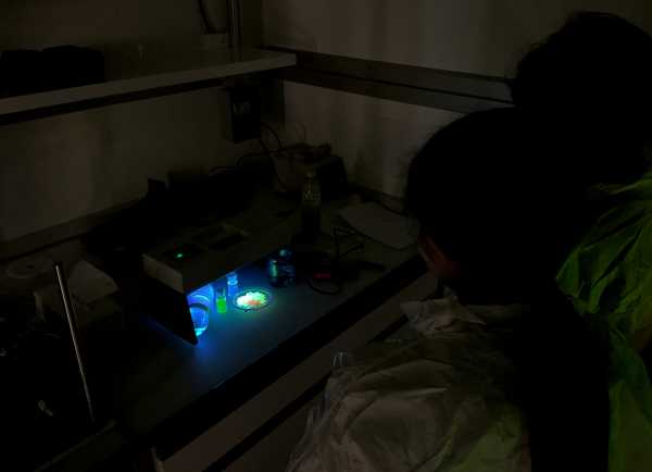 Experiments on optical spectroscopy and luminescence (Photo: J. Ecker)