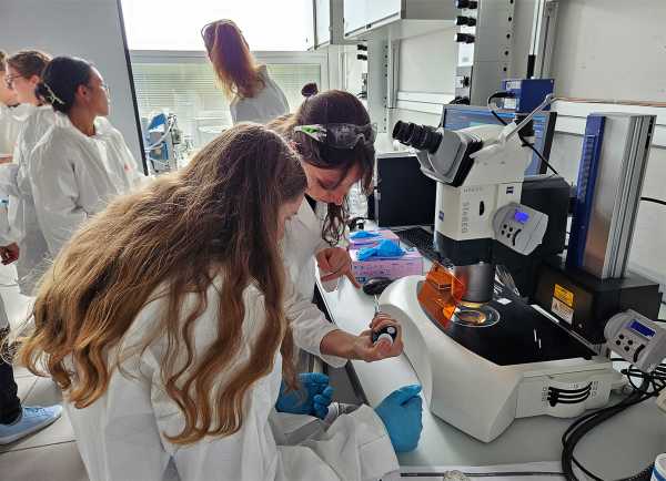 scientists looking through a microscope