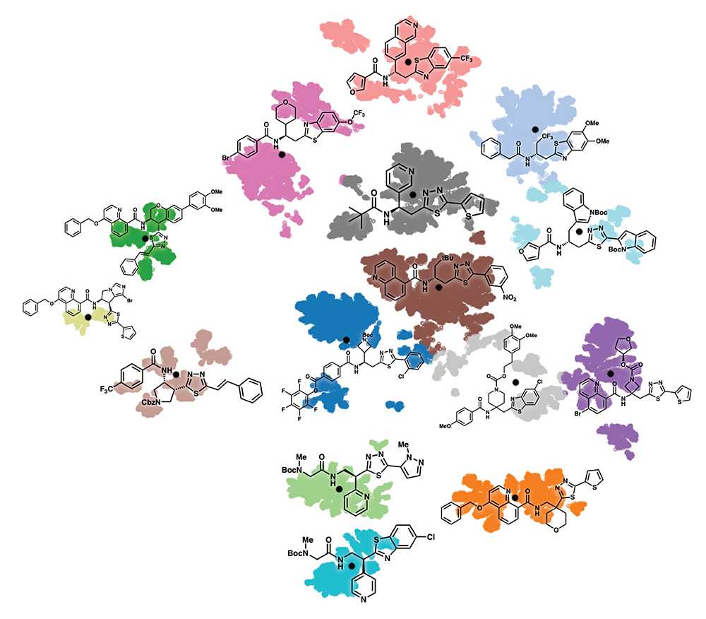 Visualization: Inferrring meaning from chemical structure—exemplified here by sorting constituents of a virtual chemical library into structurally similar clusters—is a frequent topic in the data&ML lunches